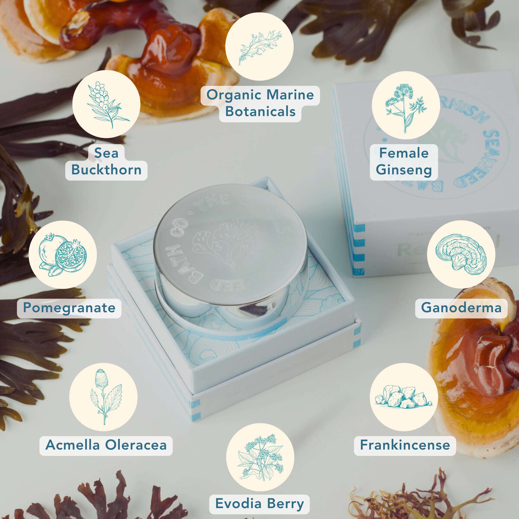 Mini Renewal Bio-Active Moisturiser - Image 4