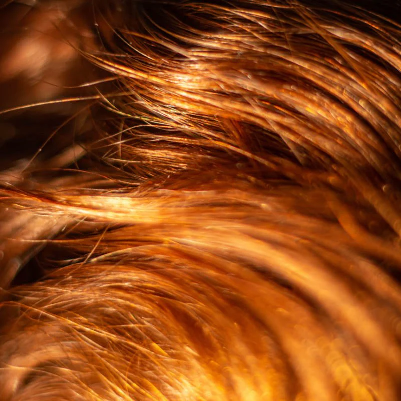 Super Nutrient Conditioner - Image 4