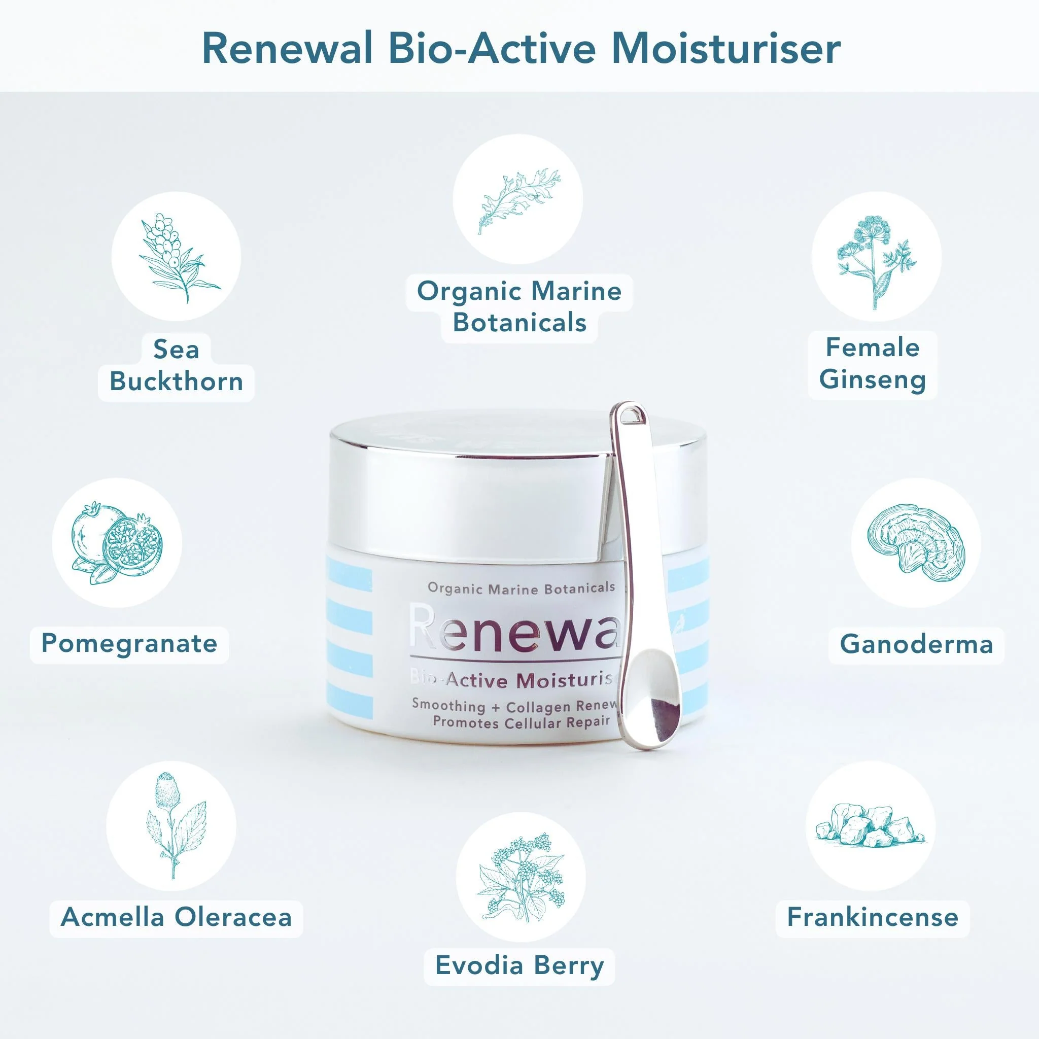 The Super Renewal Bundle - Image 4